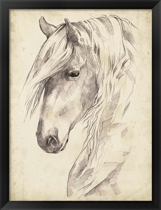 Framed Horse Portrait Sketch II Print