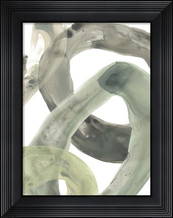 Framed Concentric Lichen IV Print