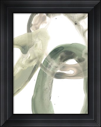 Framed Concentric Lichen V Print