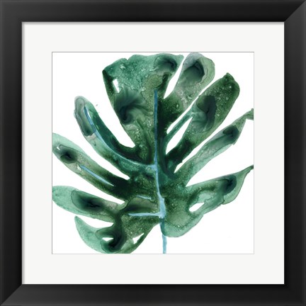 Framed Tropical Jewel II Print