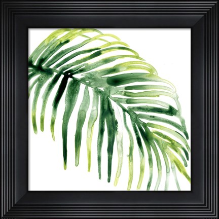 Framed Tropical Jewel V Print