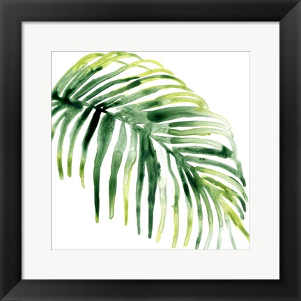 Framed Tropical Jewel V Print