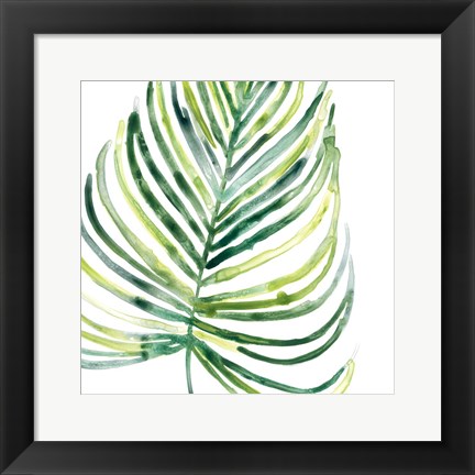 Framed Tropical Jewel IX Print