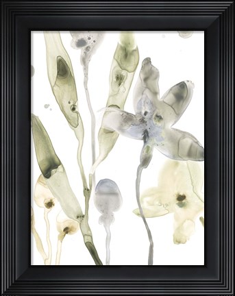 Framed Stone Moss Stems I Print