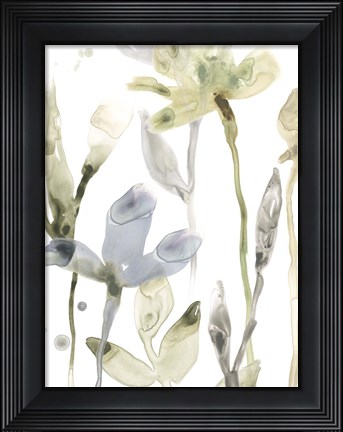 Framed Stone Moss Stems II Print