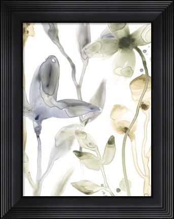 Framed Stone Moss Stems IV Print