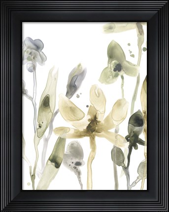 Framed Stone Moss Stems V Print