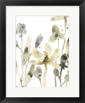 Framed Stone Moss Stems V Print