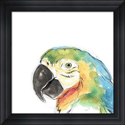 Framed Tropical Bird Portrait I Print