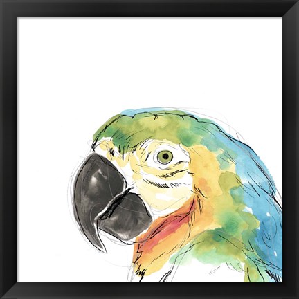 Framed Tropical Bird Portrait I Print