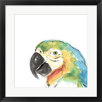 Framed Tropical Bird Portrait I Print