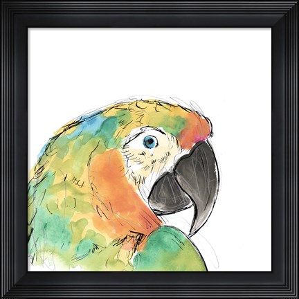 Framed Tropical Bird Portrait IV Print