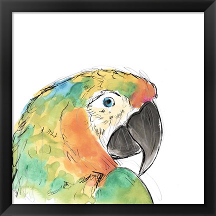 Framed Tropical Bird Portrait IV Print