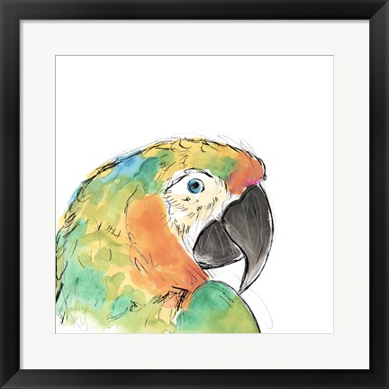 Framed Tropical Bird Portrait IV Print