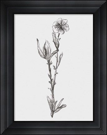 Framed Stem Still Life I Print