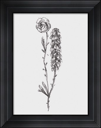 Framed Stem Still Life II Print