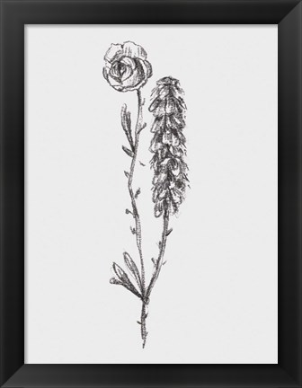 Framed Stem Still Life II Print