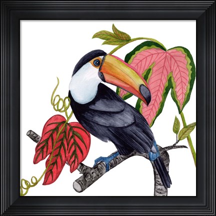 Framed Toco Toucan I Print