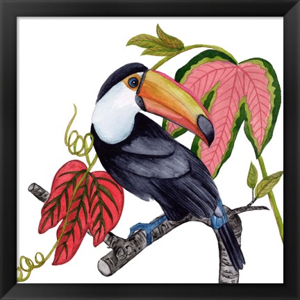 Framed Toco Toucan I Print