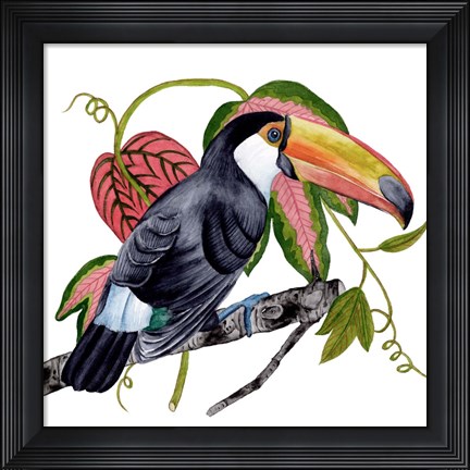Framed Toco Toucan II Print