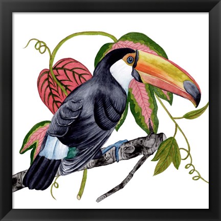 Framed Toco Toucan II Print