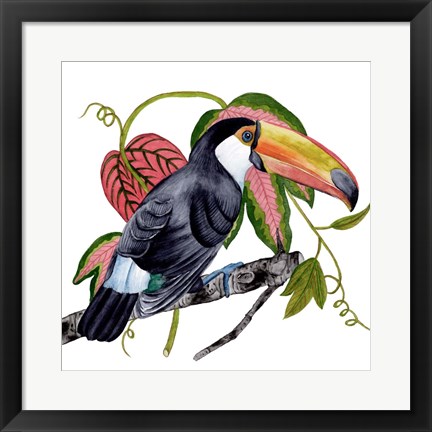 Framed Toco Toucan II Print