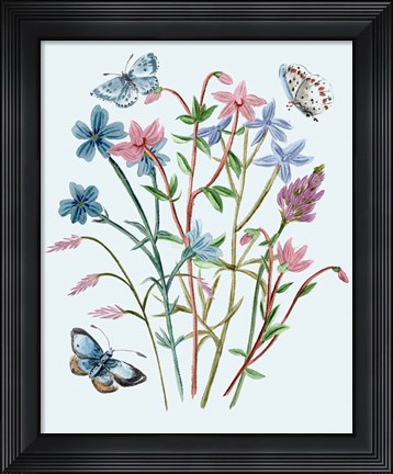 Framed Wildflowers Arrangements III Print