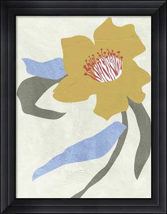 Framed Lenten Rose II Print