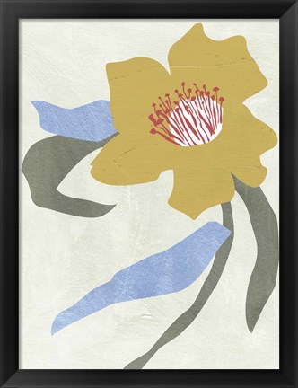 Framed Lenten Rose II Print