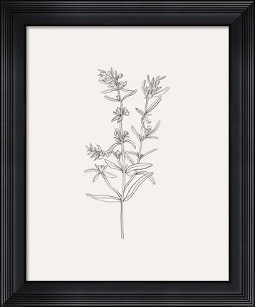 Framed Wild Foliage Sketch I Print