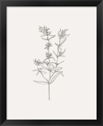 Framed Wild Foliage Sketch I Print