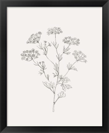Framed Wild Foliage Sketch III Print
