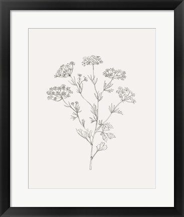 Framed Wild Foliage Sketch III Print