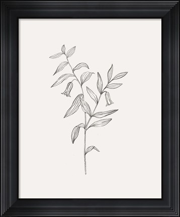 Framed Wild Foliage Sketch IV Print