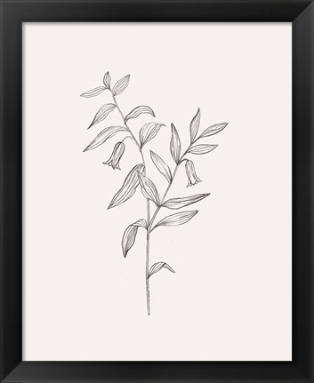 Framed Wild Foliage Sketch IV Print