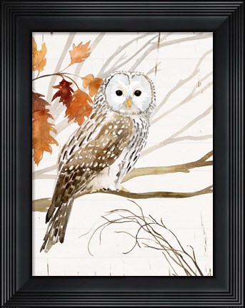 Framed Harvest Owl I Print