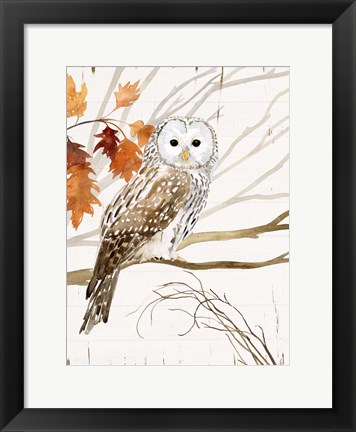 Framed Harvest Owl I Print