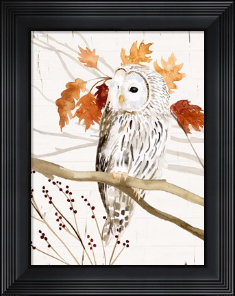 Framed Harvest Owl II Print
