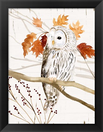 Framed Harvest Owl II Print