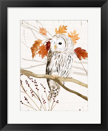 Framed Harvest Owl II Print
