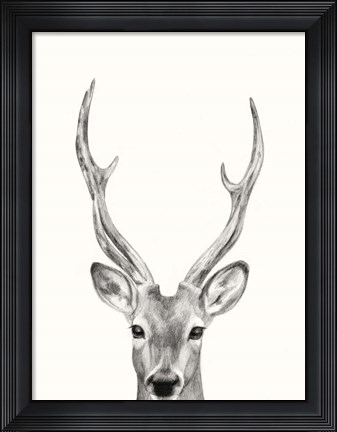Framed Animal Mug IV Print