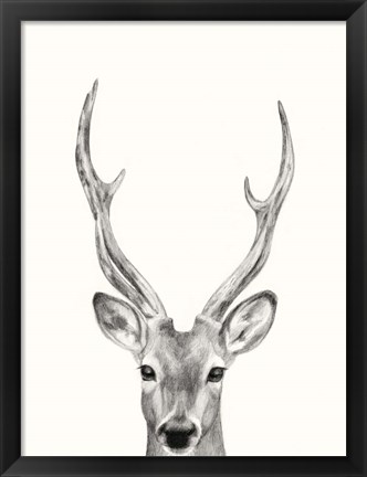 Framed Animal Mug IV Print