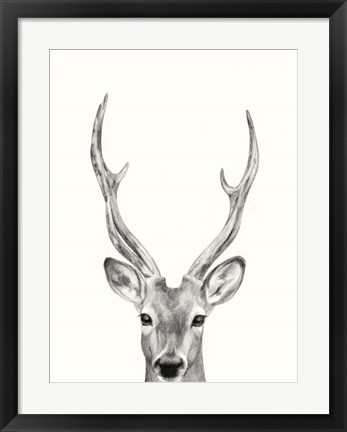 Framed Animal Mug IV Print