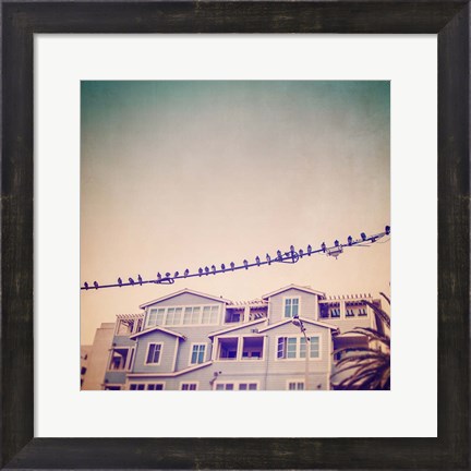 Framed Birds on Wires I Print