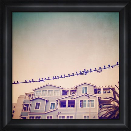 Framed Birds on Wires I Print