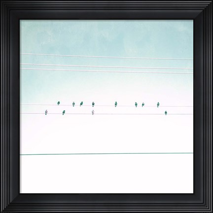 Framed Birds on Wires IV Print