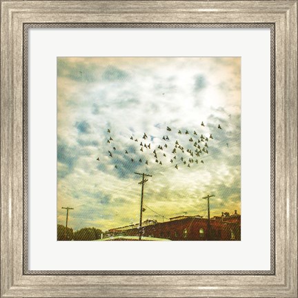 Framed Birds on Wires V Print