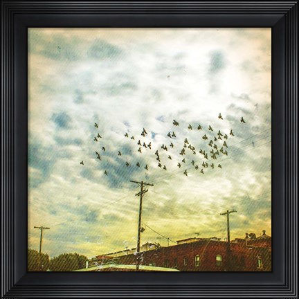 Framed Birds on Wires V Print