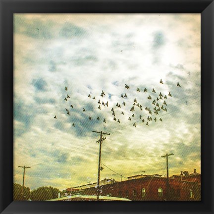 Framed Birds on Wires V Print