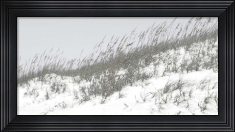 Framed Lush Dunes I Print